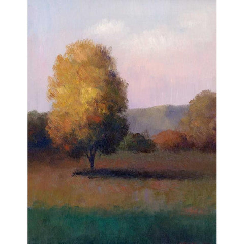 Tree in the Sun I Black Modern Wood Framed Art Print with Double Matting by Chin, Art