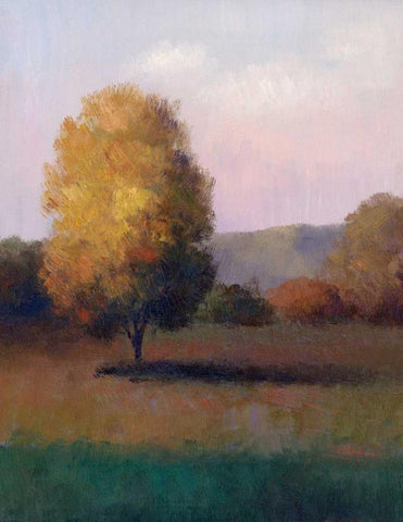 Tree in the Sun I White Modern Wood Framed Art Print with Double Matting by Chin, Art