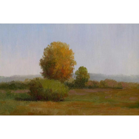 Tree in the Sun II Black Modern Wood Framed Art Print by Chin, Art