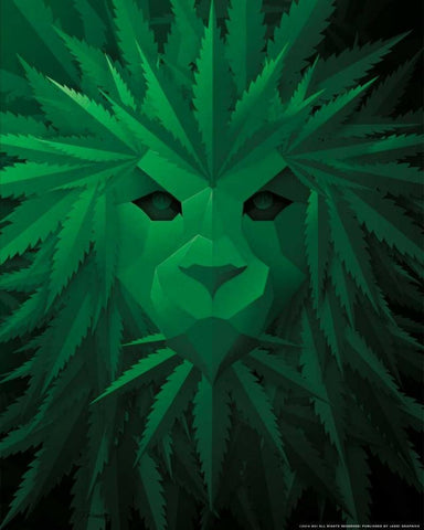 Green Lion White Modern Wood Framed Art Print with Double Matting by Brando, JJ