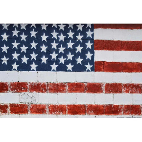 Flag 14 White Modern Wood Framed Art Print by Nobleworks, Inc.