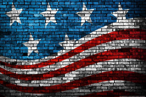 Flag 18 Black Ornate Wood Framed Art Print with Double Matting by Nobleworks, Inc.