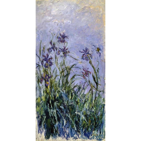 Iris mauves Black Modern Wood Framed Art Print with Double Matting by Monet, Claude