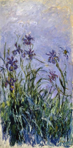 Iris mauves White Modern Wood Framed Art Print with Double Matting by Monet, Claude