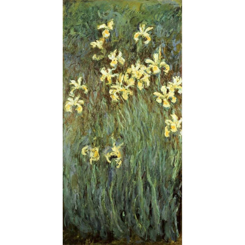 Iris jaunes White Modern Wood Framed Art Print by Monet, Claude
