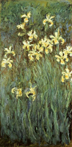 Iris jaunes White Modern Wood Framed Art Print with Double Matting by Monet, Claude
