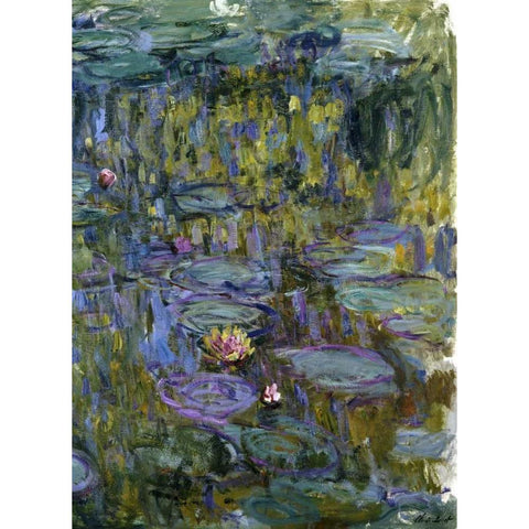 Water Lilies White Modern Wood Framed Art Print by Monet, Claude