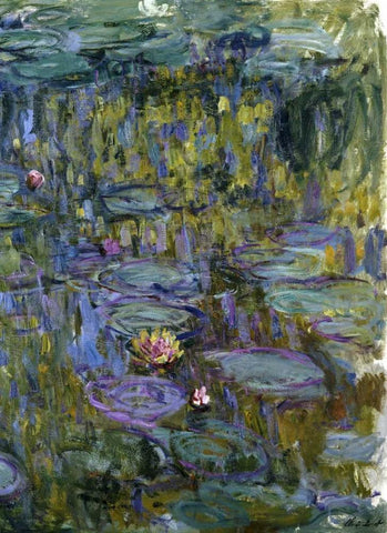 Water Lilies White Modern Wood Framed Art Print with Double Matting by Monet, Claude