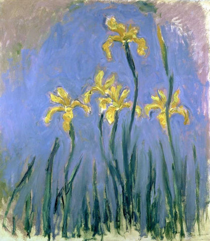 Yellow Irises White Modern Wood Framed Art Print with Double Matting by Monet, Claude