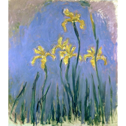 Yellow Irises Black Modern Wood Framed Art Print with Double Matting by Monet, Claude