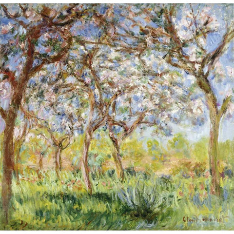 Spring at Giverny White Modern Wood Framed Art Print by Monet, Claude