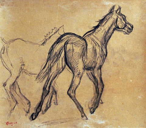 Horses White Modern Wood Framed Art Print with Double Matting by Degas, Edgar