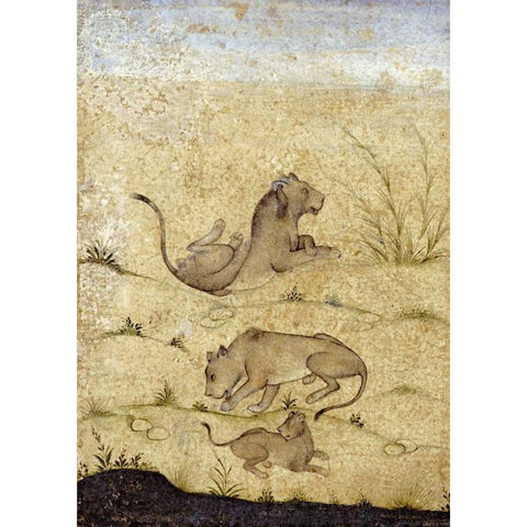 A Family of Lions Black Modern Wood Framed Art Print with Double Matting by Mughal