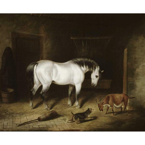White Horse Black Modern Wood Framed Art Print with Double Matting by Herring, John Frederick