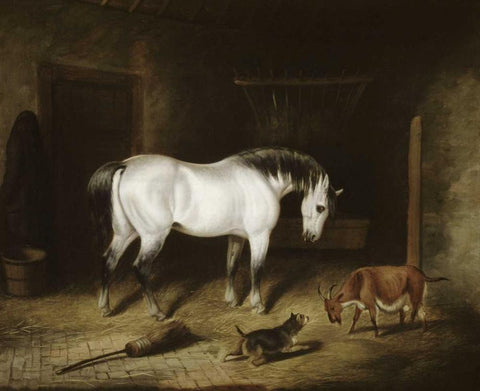 White Horse White Modern Wood Framed Art Print with Double Matting by Herring, John Frederick