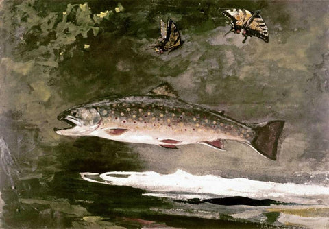 Trout Black Ornate Wood Framed Art Print with Double Matting by Homer, Winslow