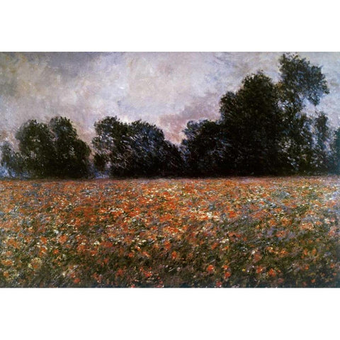 Field of Wild Poppies White Modern Wood Framed Art Print by Monet, Claude