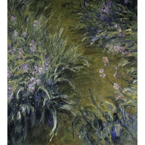 The Path Through the Irises Black Modern Wood Framed Art Print by Monet, Claude