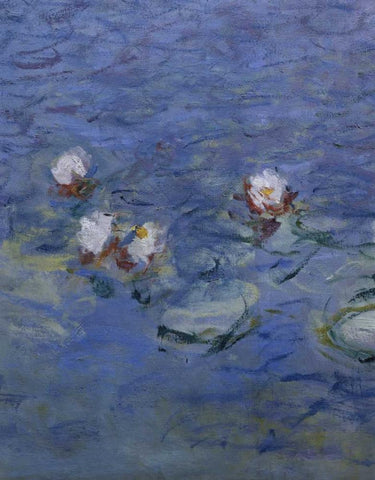 Water Lilies - Detail White Modern Wood Framed Art Print with Double Matting by Monet, Claude