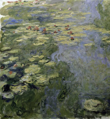 Water Lilies - Nympheas II White Modern Wood Framed Art Print with Double Matting by Monet, Claude