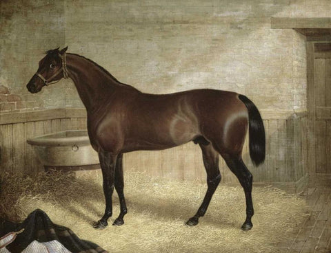 The Winner Black Ornate Wood Framed Art Print with Double Matting by Herring, John Frederick