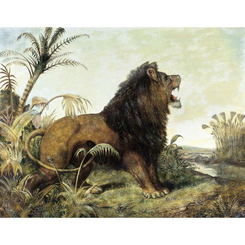 A Lion in a Jungle Black Modern Wood Framed Art Print with Double Matting by Huggins, William