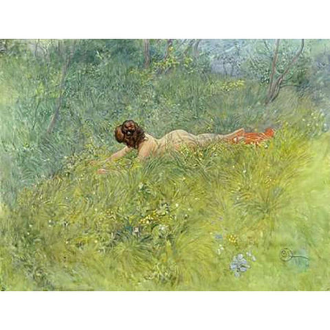 On The Grass White Modern Wood Framed Art Print by Larsson, Carl