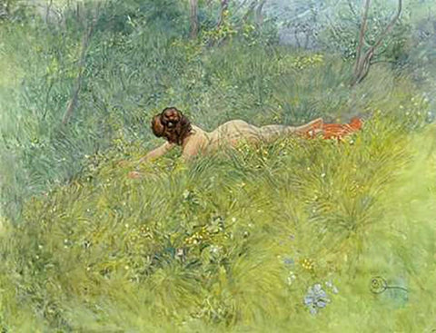 On The Grass White Modern Wood Framed Art Print with Double Matting by Larsson, Carl