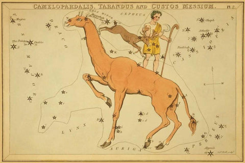 Camelopardalis, Tarandus and Custos Messium, 1825 White Modern Wood Framed Art Print with Double Matting by Aspin, Jehoshaphat