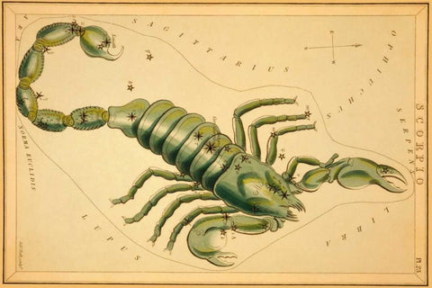 Scorpio, 1825 White Modern Wood Framed Art Print with Double Matting by Aspin, Jehoshaphat