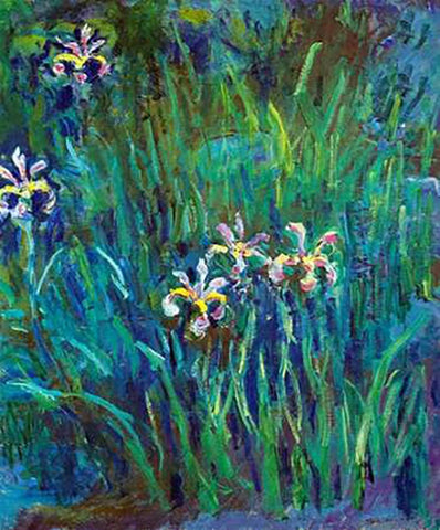 Irises 1914-1917 White Modern Wood Framed Art Print with Double Matting by Monet, Claude