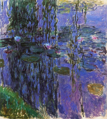 Willow Fronds And Nympheas White Modern Wood Framed Art Print with Double Matting by Monet, Claude