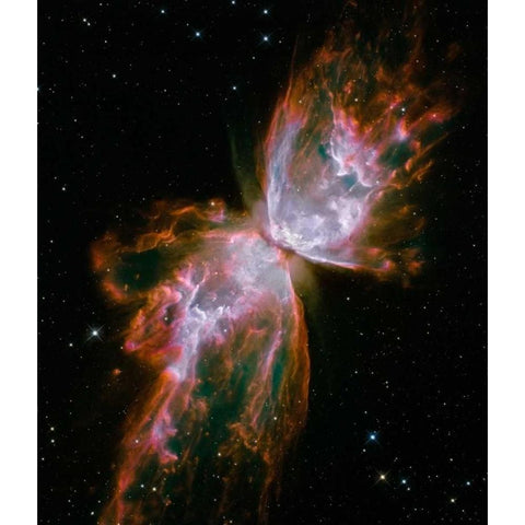 Butterfly Nebula Black Modern Wood Framed Art Print with Double Matting by NASA