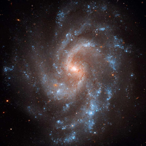 NGC 5584 Black Modern Wood Framed Art Print by NASA
