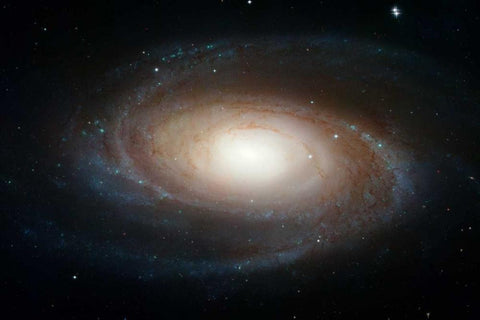 Spiral Galaxy M81 White Modern Wood Framed Art Print with Double Matting by NASA