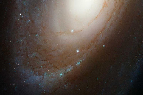 HST ACS Image of M81 White Modern Wood Framed Art Print with Double Matting by NASA