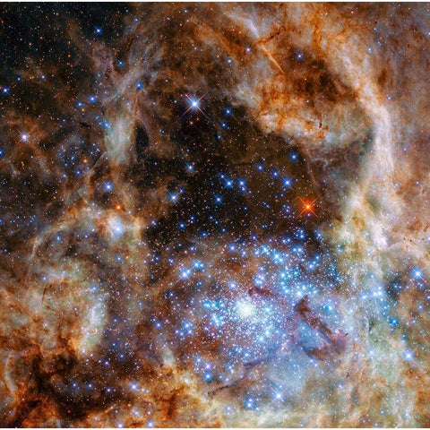 Star Cluster R136 Black Modern Wood Framed Art Print by NASA