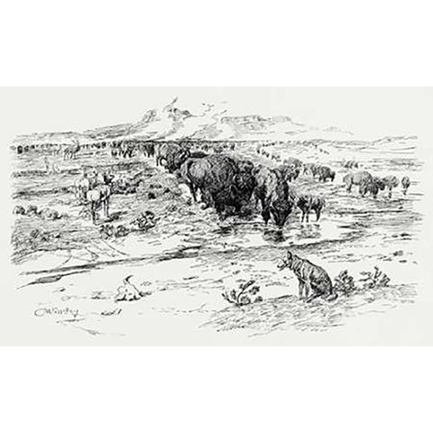 Natures Cattle, 1899 Black Modern Wood Framed Art Print with Double Matting by Russell, Charles