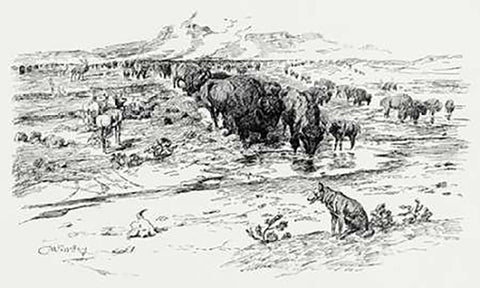 Natures Cattle, 1899 White Modern Wood Framed Art Print with Double Matting by Russell, Charles