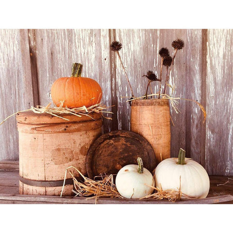 Autumn Pumpkins White Modern Wood Framed Art Print by Smith, Anthony