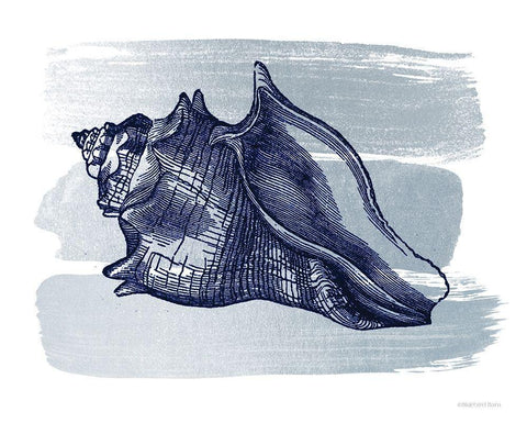 Brushed Midnight Blue Seashell White Modern Wood Framed Art Print with Double Matting by Bluebird Barn