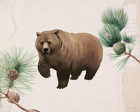 Bear in the Pines White Modern Wood Framed Art Print with Double Matting by Lady Louise Designs