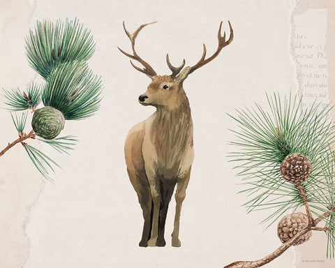 Deer in the Pines White Modern Wood Framed Art Print with Double Matting by Lady Louise Designs