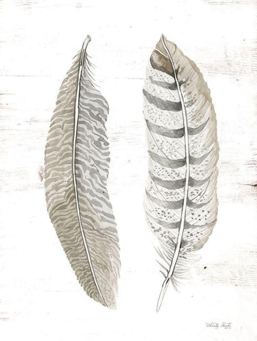 Feather II Black Ornate Wood Framed Art Print with Double Matting by Jacobs, Cindy