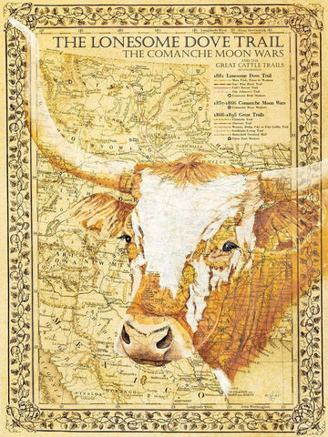 Lonesome Dove Trail White Modern Wood Framed Art Print with Double Matting by Fifer, Diane