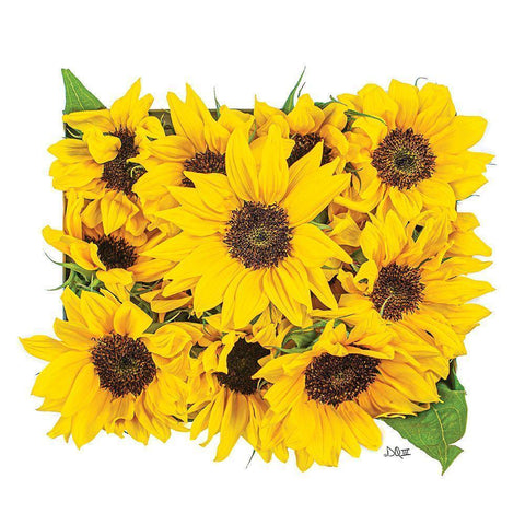 Sunflower Bouquet Gold Ornate Wood Framed Art Print with Double Matting by Quillen, Donnie