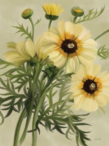 Moody Daisies Black Ornate Wood Framed Art Print with Double Matting by House Fenway