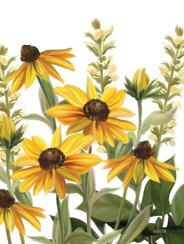 Summer Susans White Modern Wood Framed Art Print with Double Matting by House Fenway