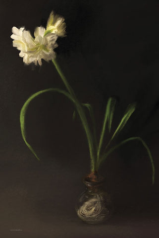 Vintage Piece in the Window White Modern Wood Framed Art Print with Double Matting by Kamdon Kreations