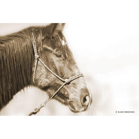 Sepia Thunder White Modern Wood Framed Art Print by Brooks, Kari